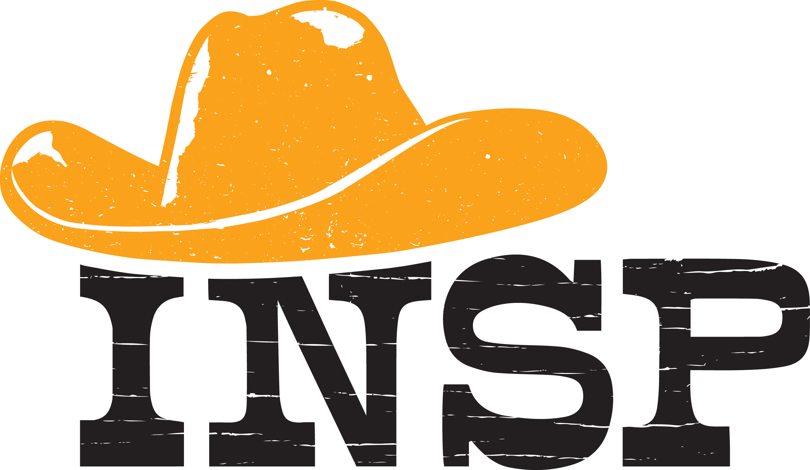 INSP Network logo