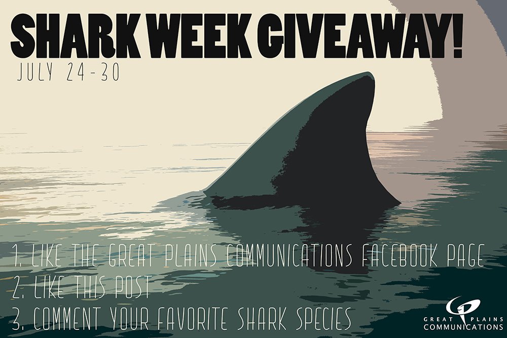 Shark fin above ocean water shark week giveaway