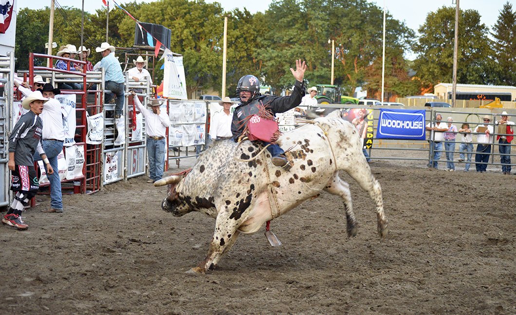 bull rider at Custer County