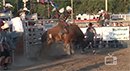 Custer County bull riding in 2015