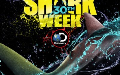 Shark Week Starts this Sunday!