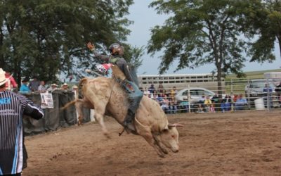 2011 Knox County Bull-A-Rama