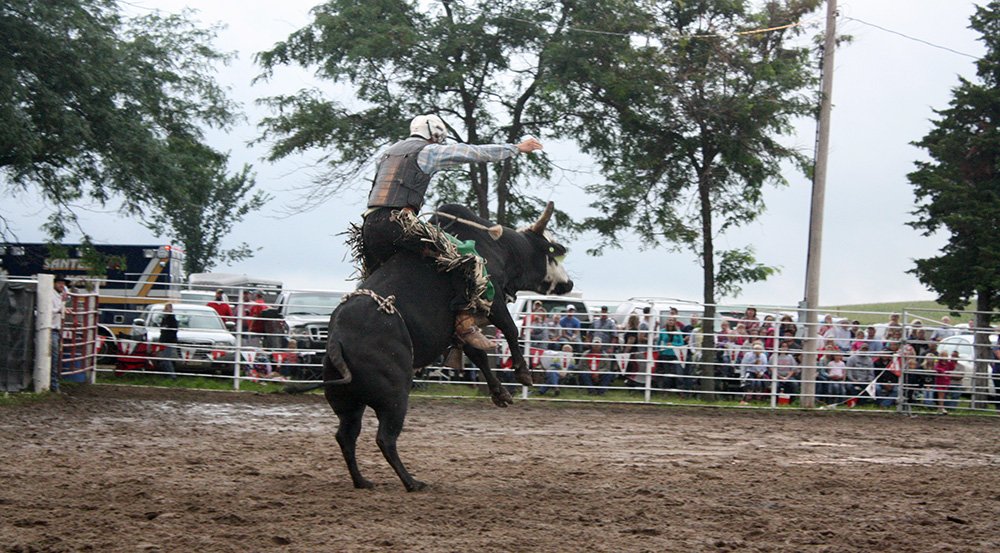 rider on bull