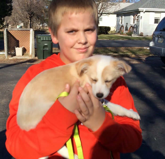 young boy holding small dog