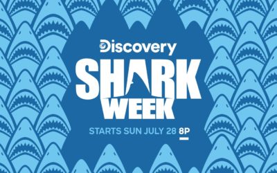 What to Expect From Discovery’s Shark Week