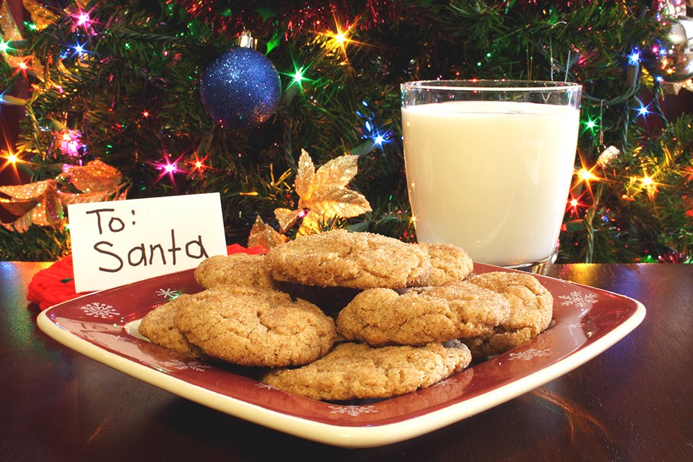 A plate of cookies and a glass of milk in front of a Christmas tree with a card for Santa.