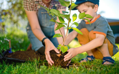 Did you know April is Earth Day, Earth Month, Arbor Day and National Native Plant Month?