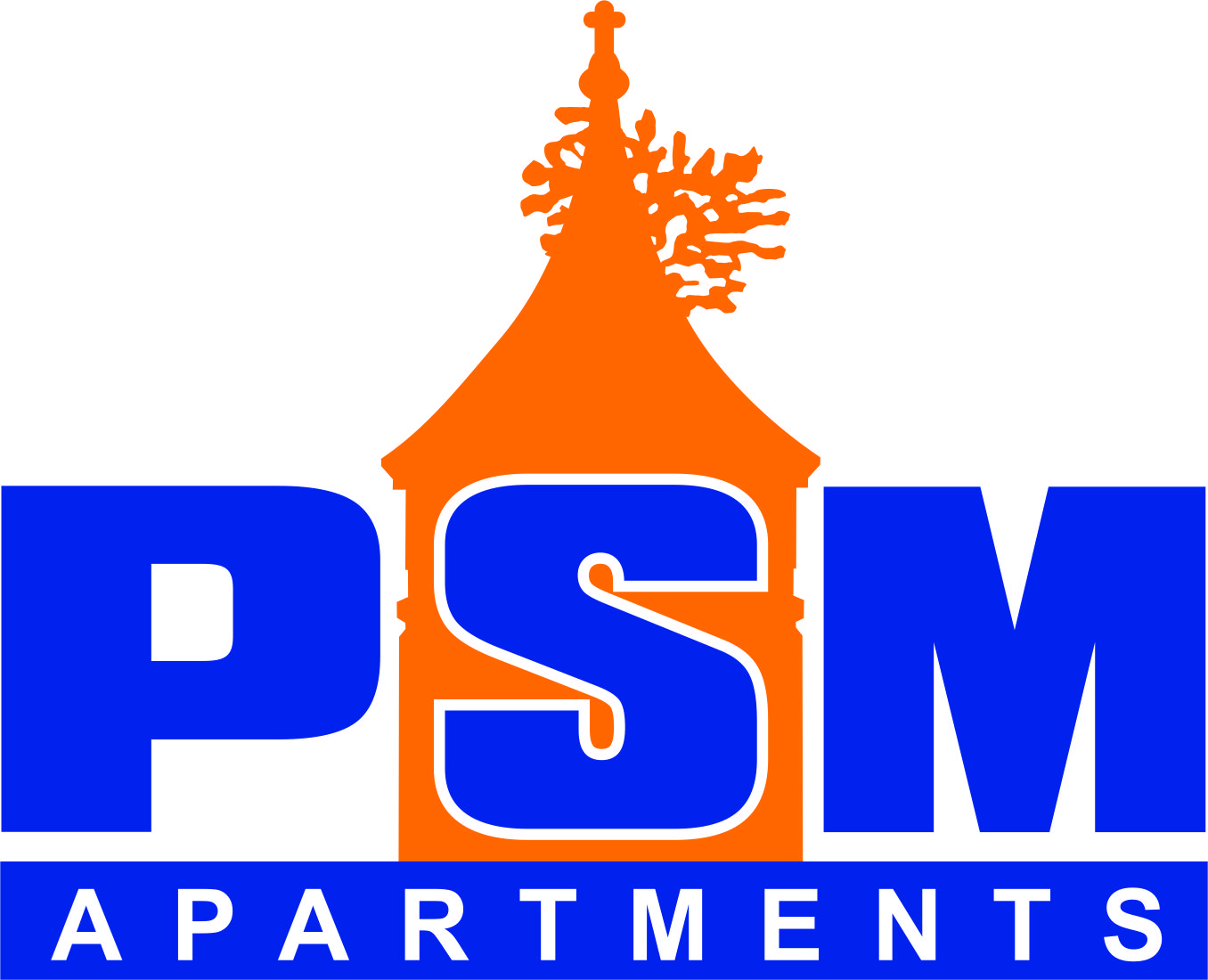 PSM LOGO 1