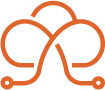 Regional Fiber